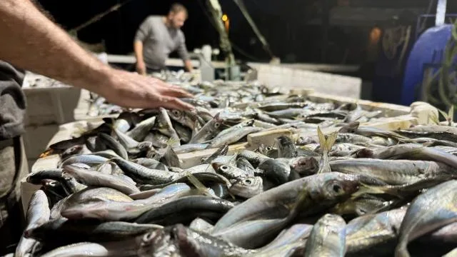 Balıkçılara 4,7 milyar lira avlanma ve 1,8 milyon ton yakıt desteği