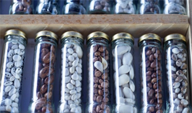 Minik eller toprakla buluştu