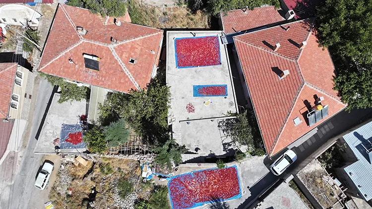 Kayseri’nin damlarında kuruyan Cırgalan biberi sofralara lezzet katıyor