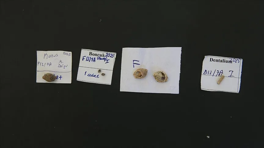 Direkli Mağarası’nda Epipaleolitik Dönem’e ait süs boncukları bulundu