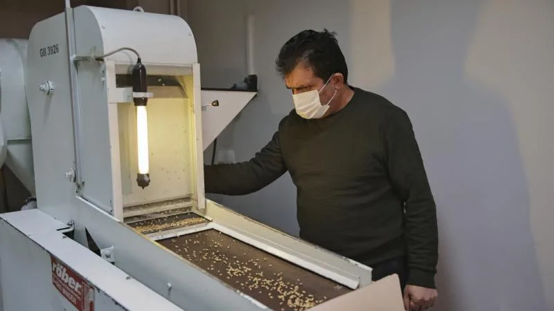 125 bine yakın tohum örneği gen bankalarında korunuyor