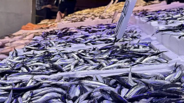 Sezon açıldı: İşte en çok satılan balıklar ve fiyatları…