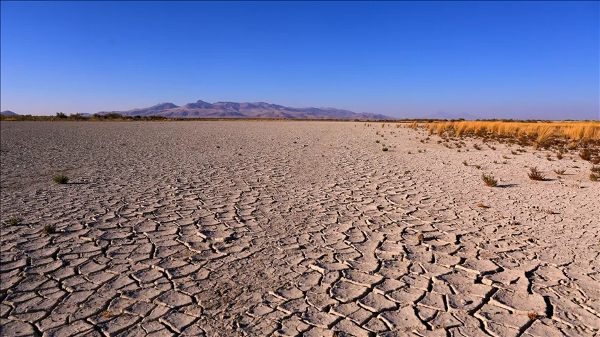 Fotoğrafçılar kuruyan Ereğli Akgöl Sazlıkları’nda yeniden kuşları görüntülemek istiyor