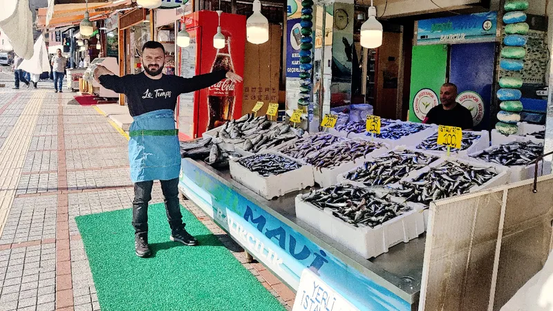 Hamsi tezgaha erken düştü!