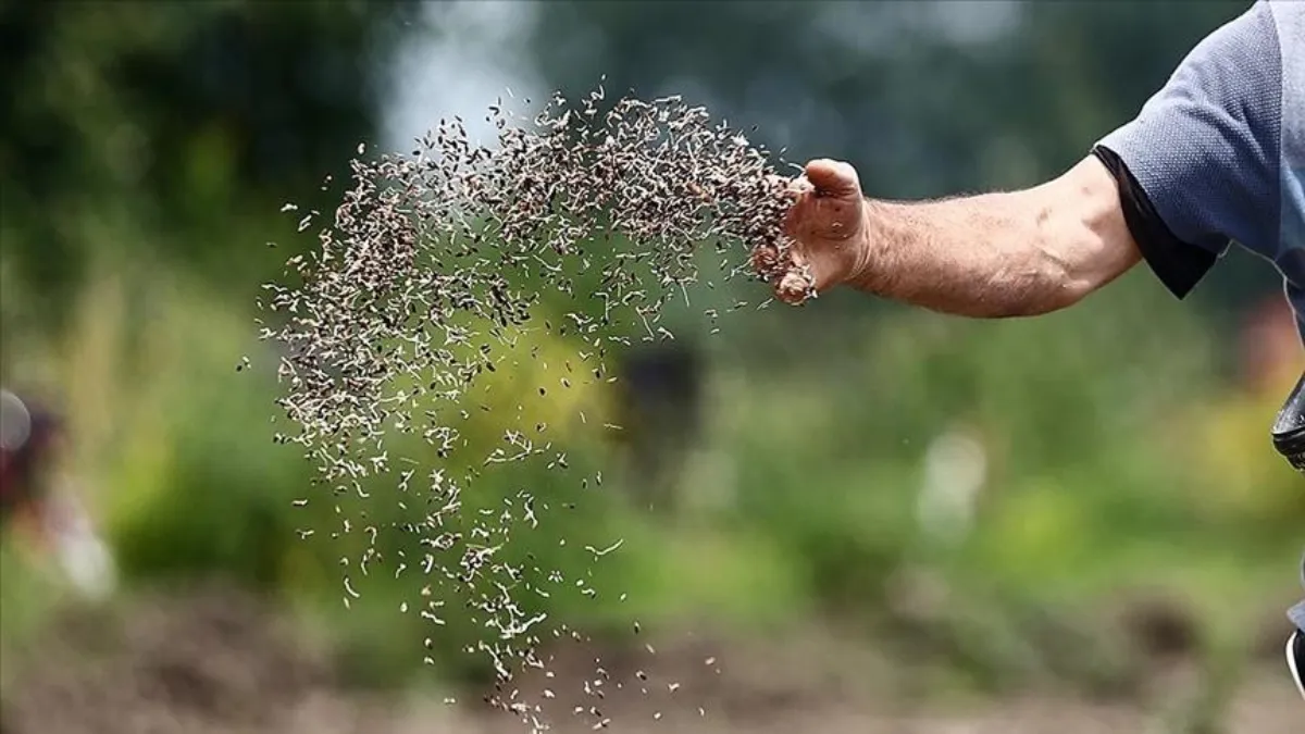Türkiye’nin tohumculuk sektöründe dünyada ilk 5’te yer alma hedefi