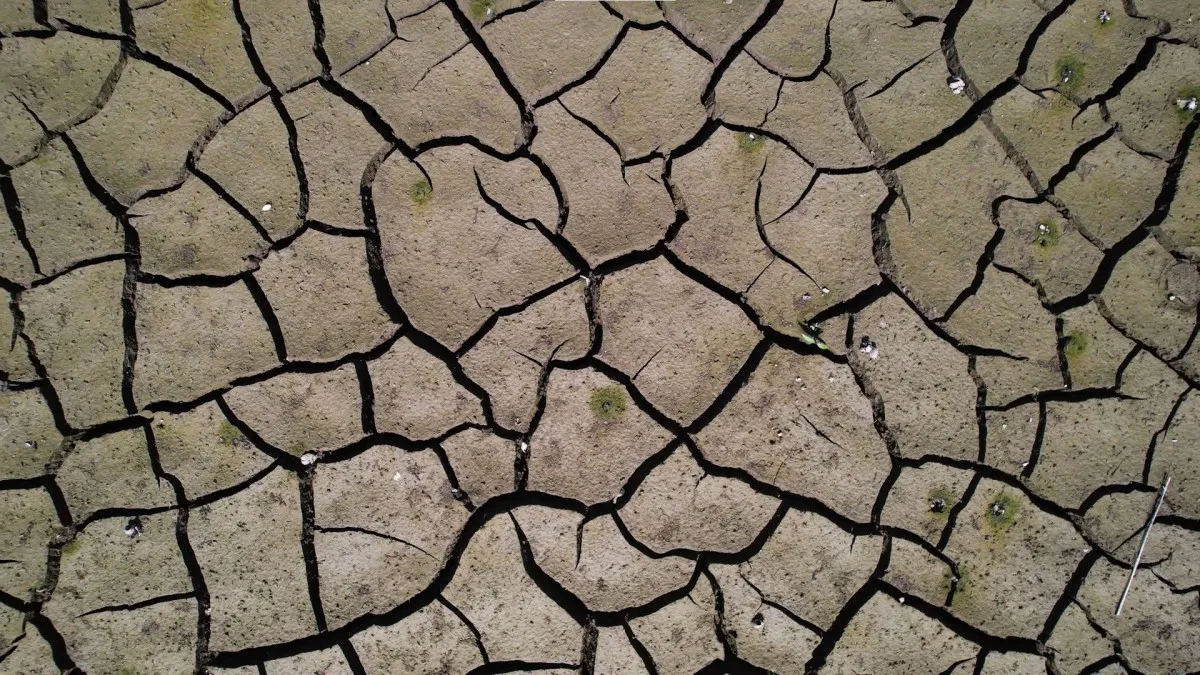 Megakent’te barajlar alarm veriyor: İstanbul’u besleyen barajlar çekildi