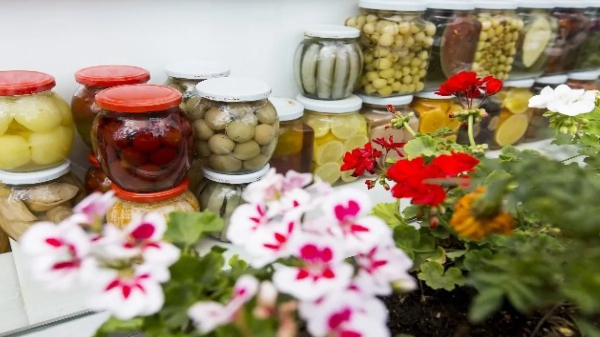 1-2 sap ekleyin…Bu otlar turşuya lezzet katıyor