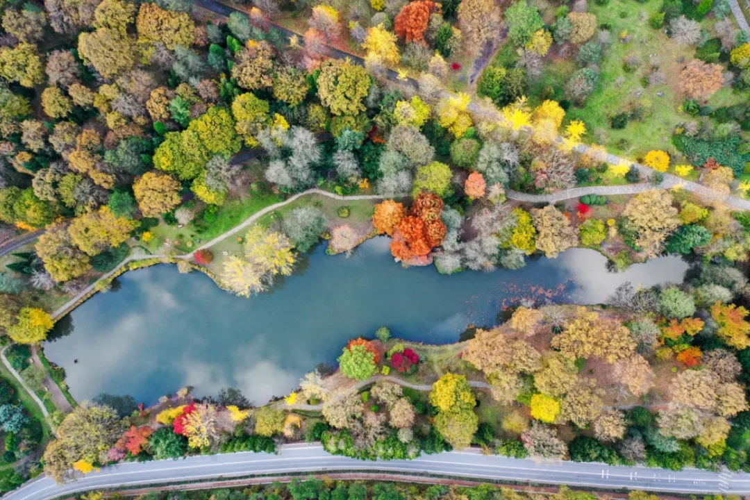 Gezmeden dönmeyin.. İstanbul’da sonbahar rotaları