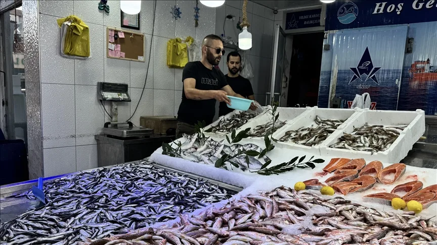 Ağlara erken takılan hamsi balıkçının yüzünü güldürdü