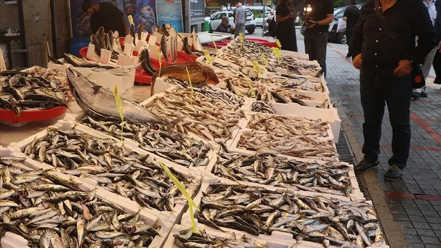 Rize’de balıkçı tezgahlarında bolluk yaşanıyor