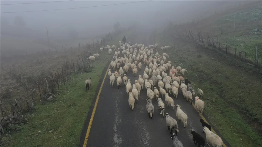 Sisler altındaki Karadeniz yaylalarından dönüş yolculuğu başladı