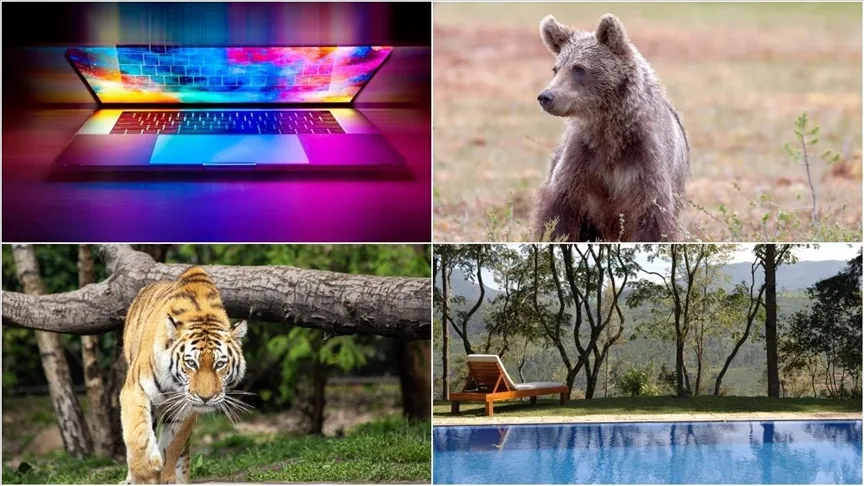 Dünyada ağustos ayında birçok sıra dışı ve tuhaf olay basına yansıdı