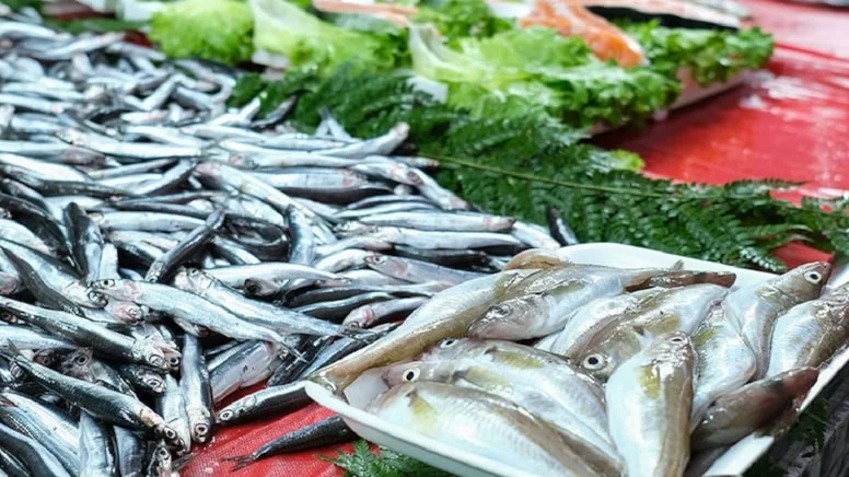 Hamsi, palamut ve istavrit yemek isteyenler dikkat!