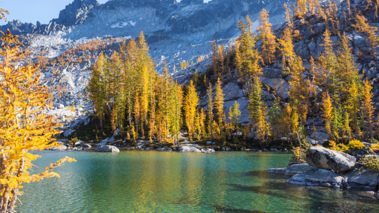 Tedavi Süreci Tamamlandı, 9’u Da Teker Teker Doğaya Salındı