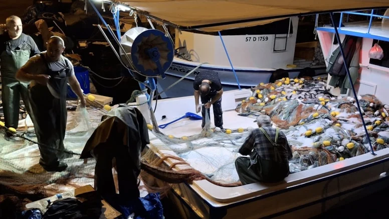 Sinop’ta denize açılan balıkçılar bir gecede milyoner oldu