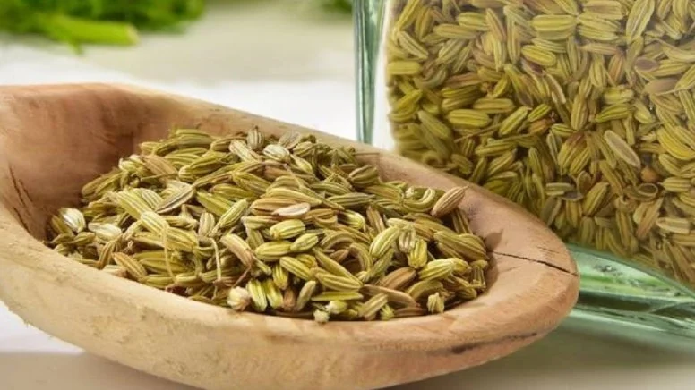 Binlerce besin arasından Dünyanın en sağlıklı yiyeceği seçildi