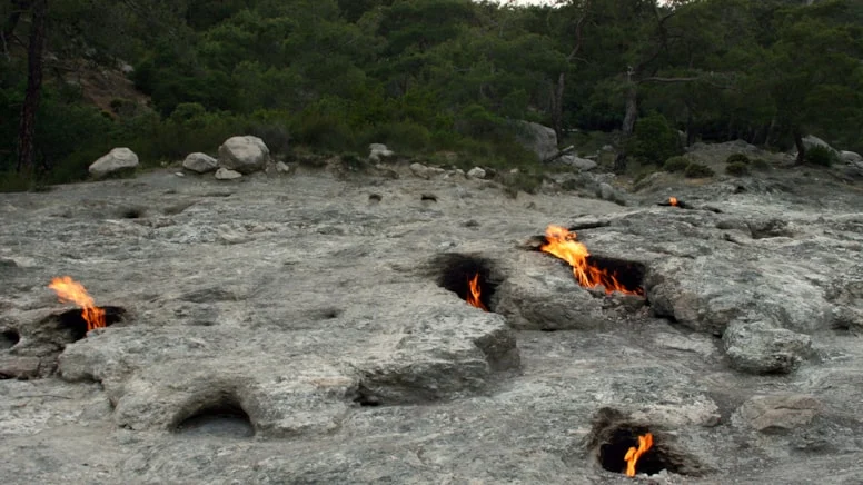 Sadece Türkiye’de var, bu olay dünyayı bile şaşırtıyor