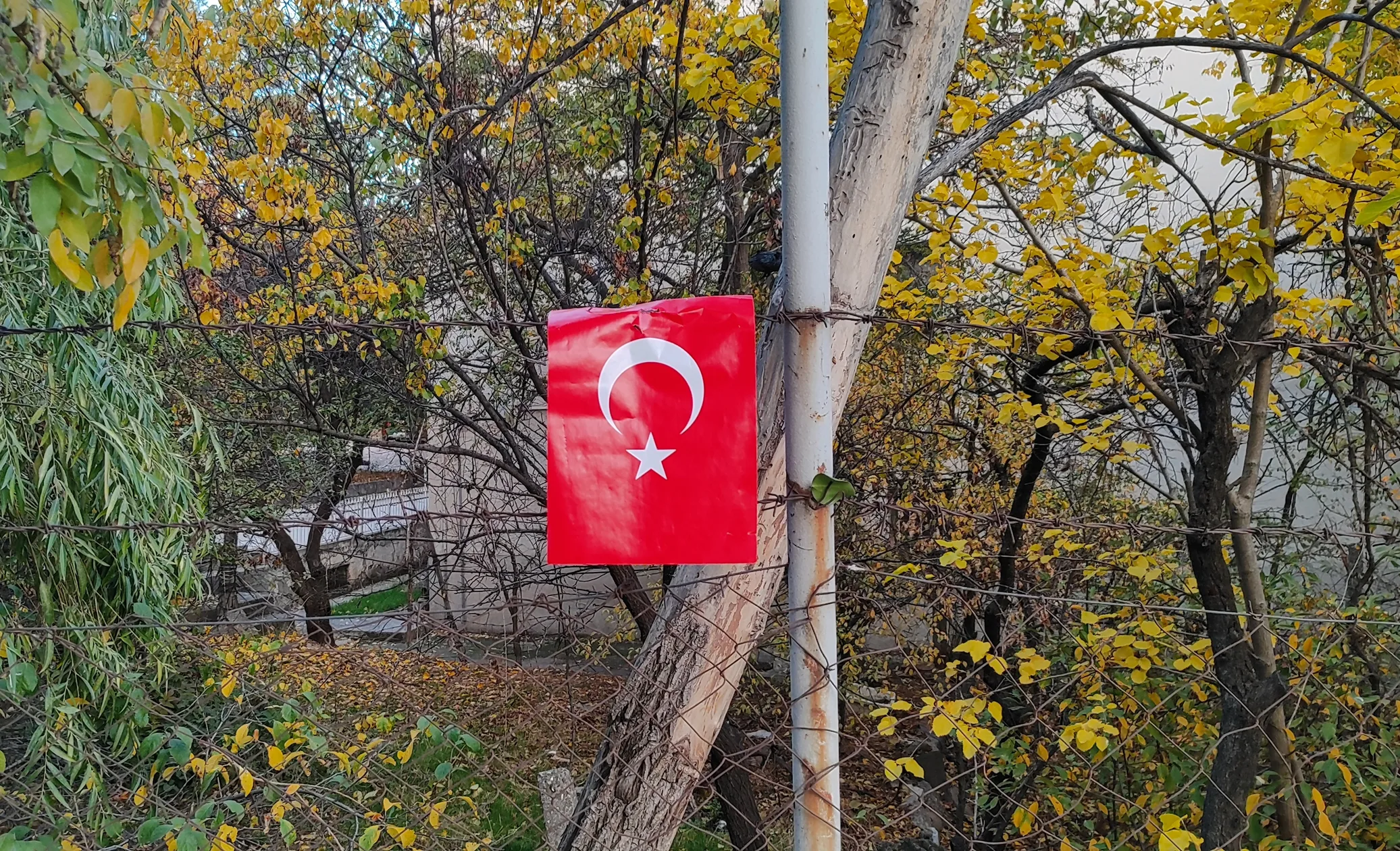 Onun Asaleti Vicdanlara Dokunur
