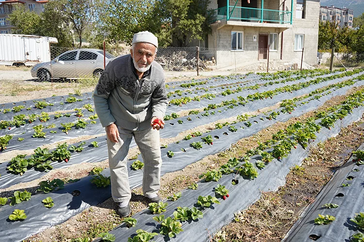 Ispartalı İbrahim dede “Hayır Bahçesi”ndeki ürünleri ziyaretçilere ücretsiz ikram ediyor