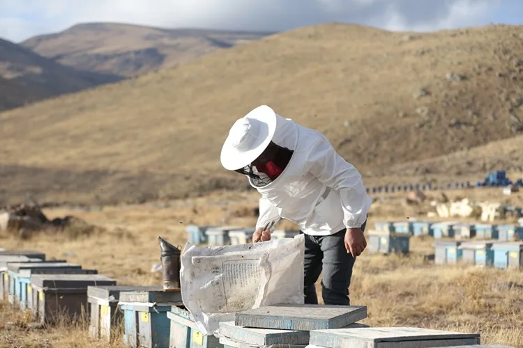 Dede mirası arıcılığı üçüncü kuşak temsilci olarak sürdürüyor