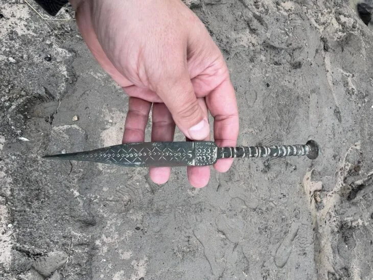 Baltık Kıyısında 2.800 Yıllık Hallstatt Hançeri Bulundu