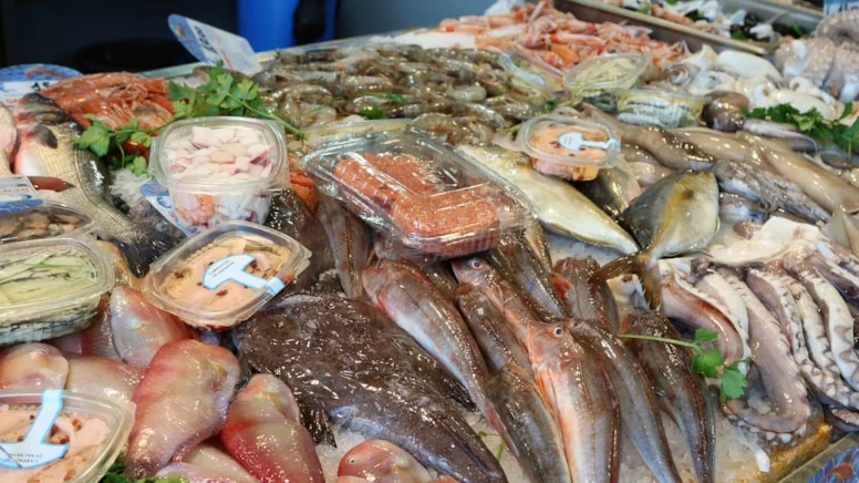 Geçen sene 1200 lira olan ‘denizin prensi’ 600 liraya düştü!