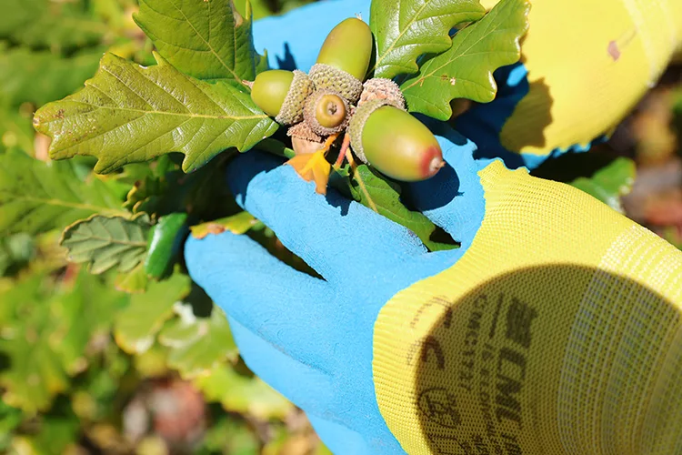 Cebinde taşıdığı tohumları 21 yıldır köyünün çorak arazileriyle buluşturuyor