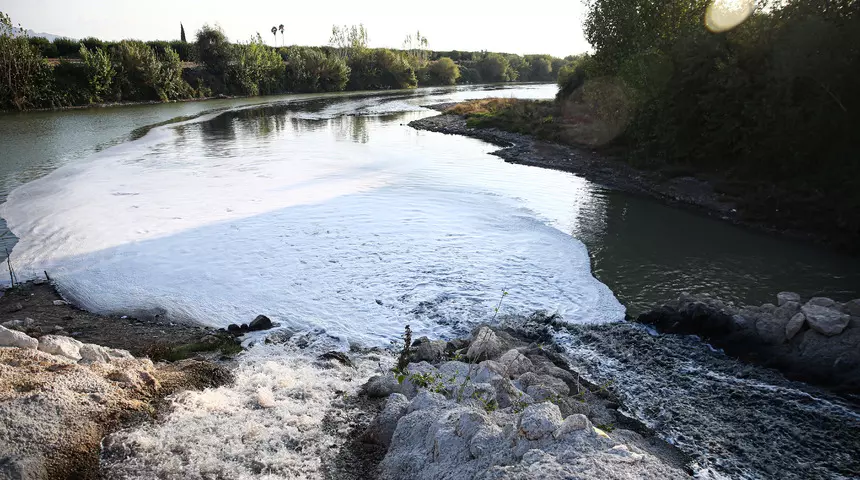 Adana’da balık ölümleri görülen Ceyhan Nehri’nde inceleme başlatıldı