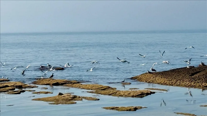 Kazakistan’da Hazar Denizi’nin biyoçeşitliliğini kaybetmesine yönelik endişeler artıyor