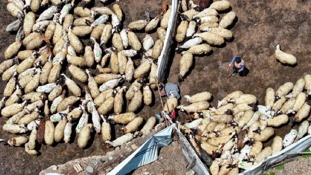 Tarımda dijital dönüşümle gençler çiftçiliğe teşvik edilecek