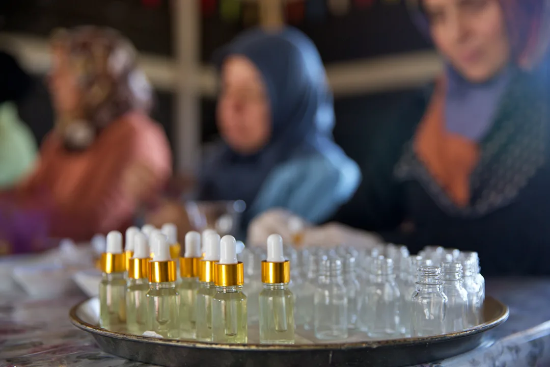 Osmaniye’de yeniden ekonomiye kazandırılan lavanta bahçesi kadınlara gelir kapısı oldu