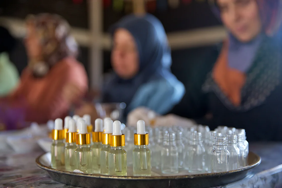 Osmaniye’de yeniden ekonomiye kazandırılan lavanta bahçesi kadınlara gelir kapısı oldu