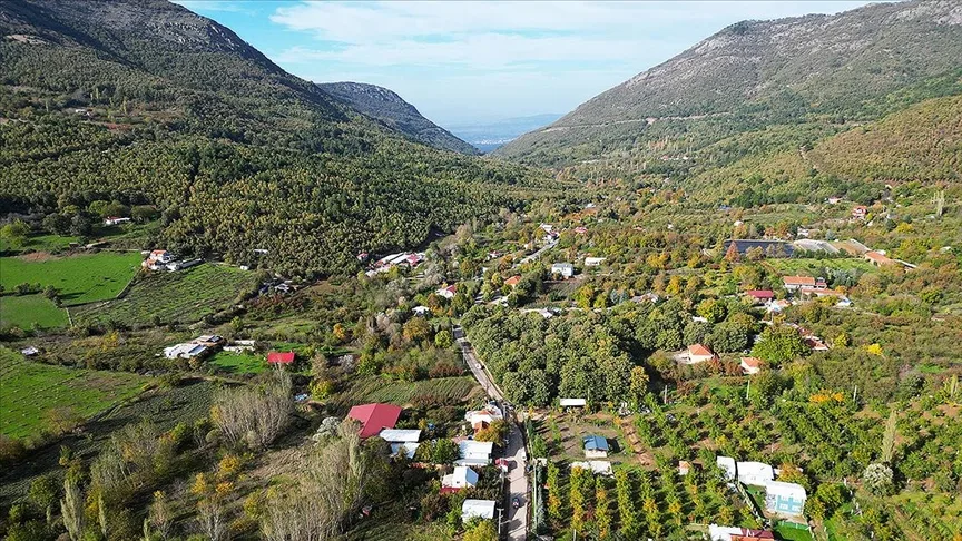 İzmir’deki Ovacık Yaylası, sonbahar renklerine büründü