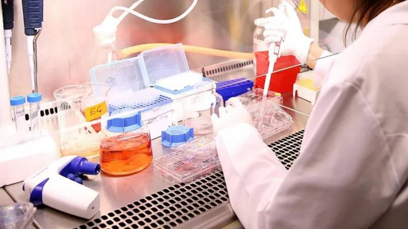 Bilim insanları, hücreleri genç kalmaları için kandıran besin moleküllerini keşfetti