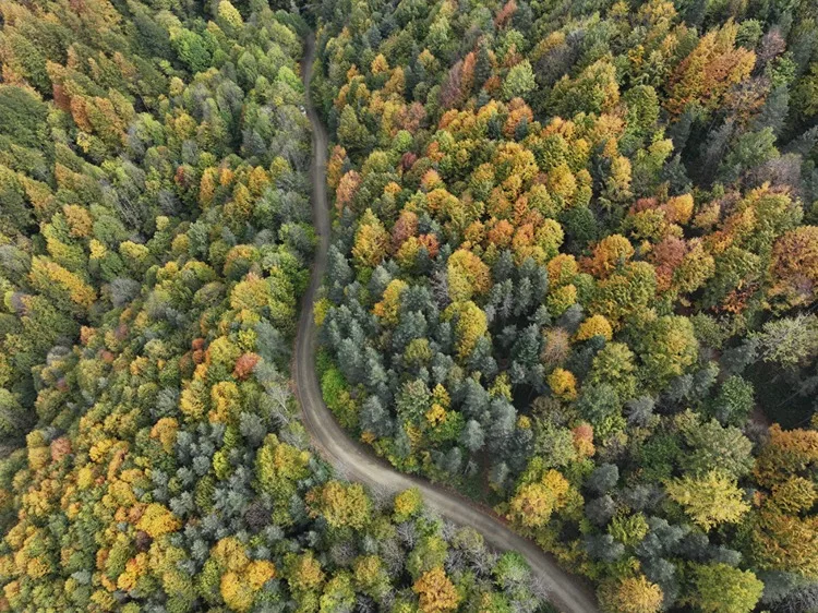 Düzce, Sakarya ve Bolu’da sonbaharın tonları doğayı renklendirdi
