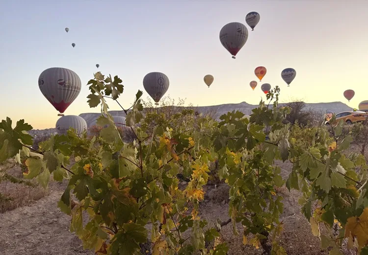 Sonbahar manzaraları Kapadokya’ya renk kattı