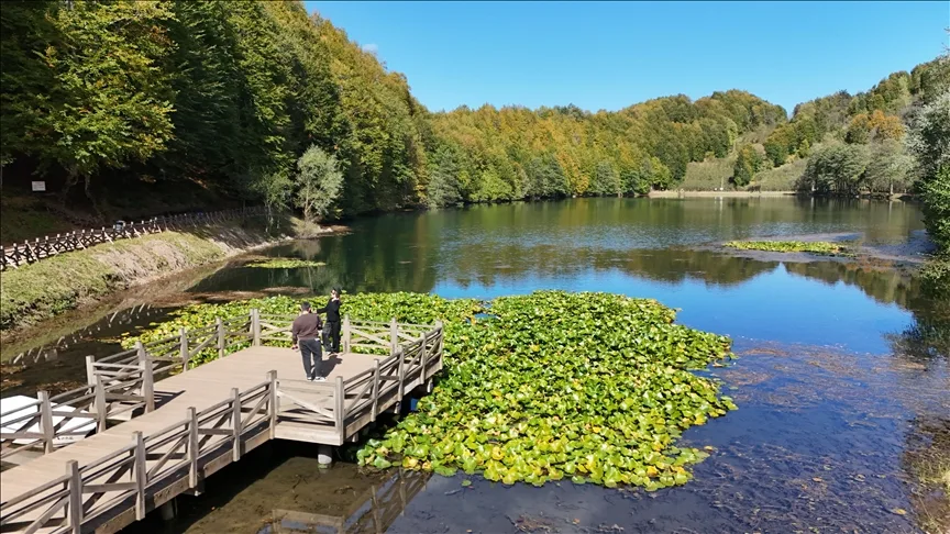 Ordu’daki Ulugöl Tabiat Parkı 9 ayda 220 bin ziyaretçiyi ağırladı