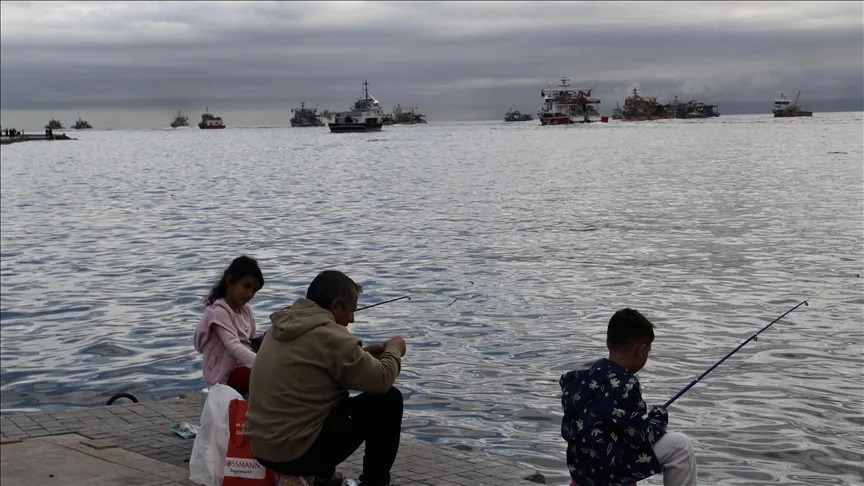 Balıkçıların Karadeniz’deki hamsi avı sürüyor