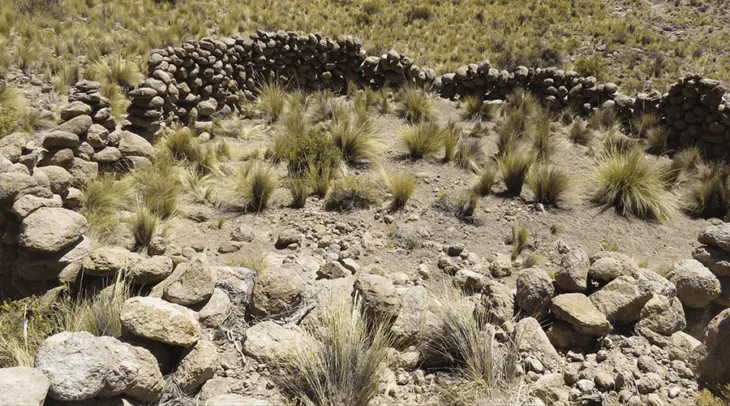 76 Şili Andları’nda Bulunan Antik Taş Tuzakları, Tarih Öncesi Dönemlere Ait Ustaca Bir Avlanma Sistemini Ortaya Çıkardı.