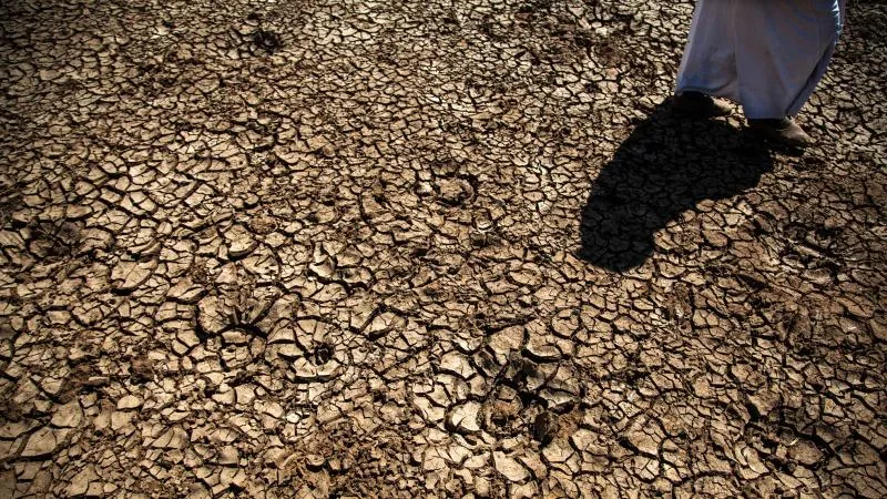 Fas Sulama Bakanı: Fas, üst üste sekizinci kuraklık yılıyla karşı karşıya