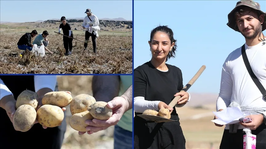 Yüksek lisans öğrencisi, tezini bir çiftçinin tahsis ettiği tarlada hazırlıyor
