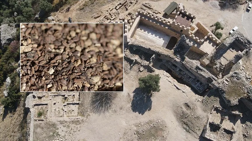 Beçin Antik Kenti’ndeki kazılarda 700 yıllık olduğu değerlendirilen darı tohumları bulundu