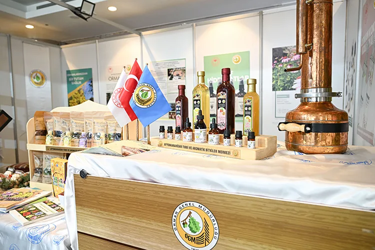 Türkiye florasında tıbbi ve aromatik olarak kullanılan 500’den fazla bitki var