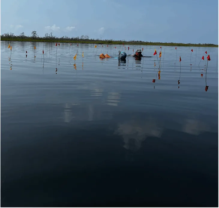 Belize’de Su Altında Korunmuş Halde Bulunan Maya Tuz Üretim Tesisi “Görünmez Yerlerin” Sırlarını Ortaya Çıkarıyor