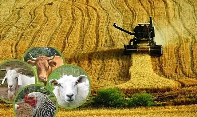 Çiftçilere Kötü Haber: Aynı Anda İki Üretim Yapanlara Düzenleme