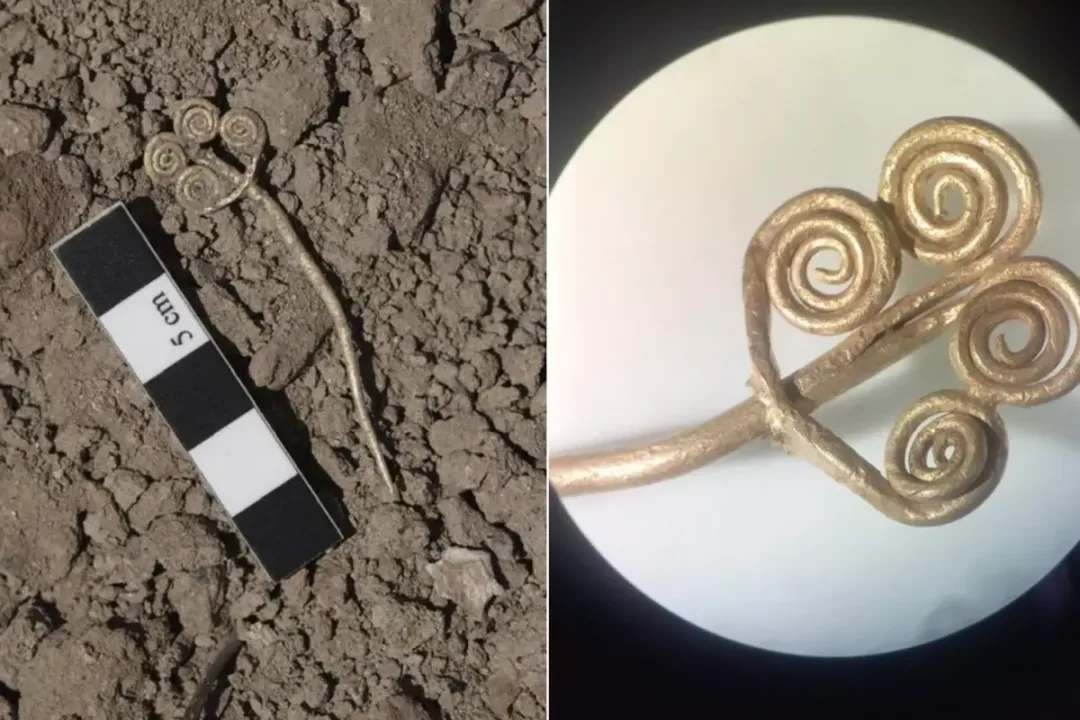 Eşsiz hazine ortaya çıktı! Son 100 yılın ön önemli keşfi