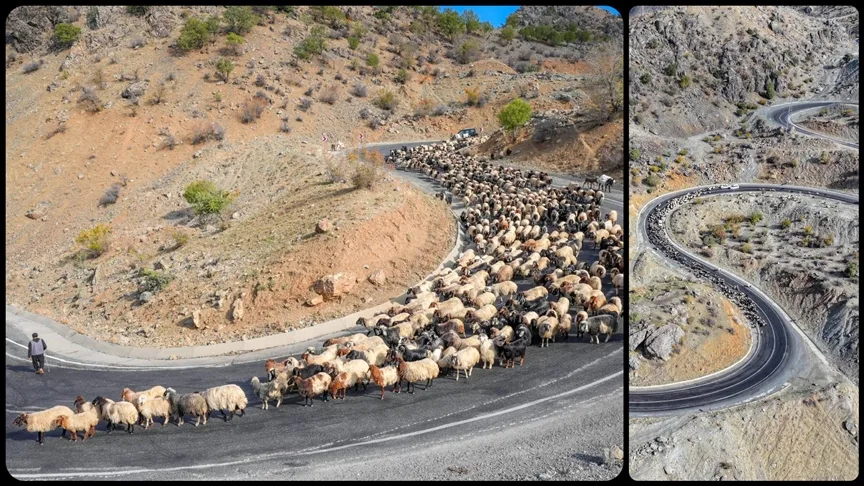 Göçerler 3 bin rakımlı yaylalardan kışlaklara dönüyor