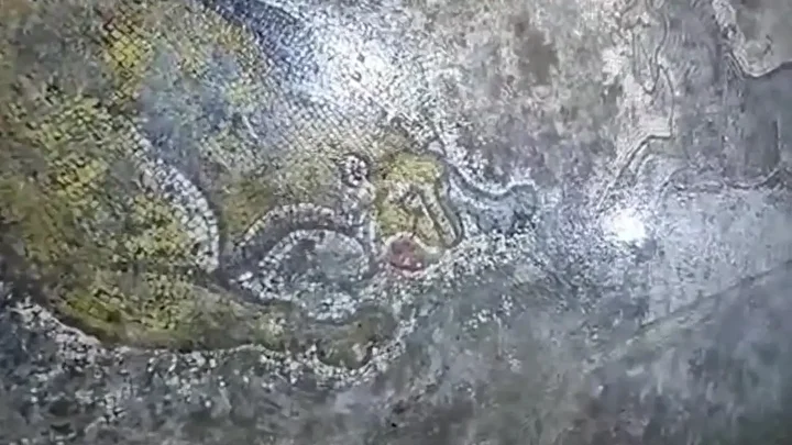 Mardin’de 1500 Yıllık Roma Mozaiği Bulundu: Gizli Başyapıt Kaçakçılardan Kurtarıldı