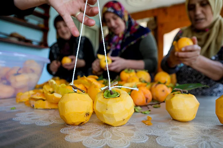 Sakarya’da kadınlar, tescilli cennet hurmasını kurutup satarak aile bütçesine katkı sağlıyor