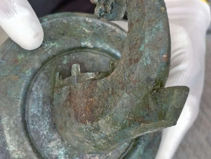 Salzburg’da Sansasyonel Keşif